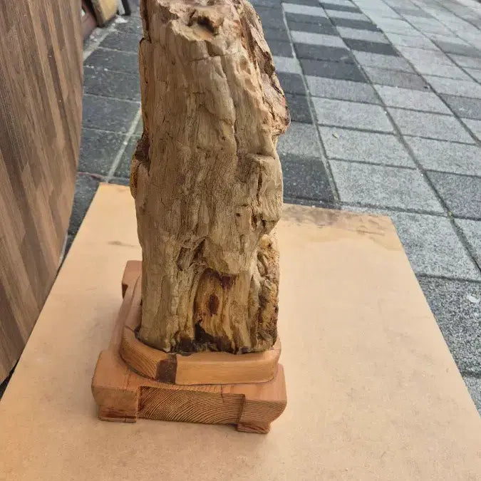 [BUNJANG] Unknown Wood Fossil Decor - 30x41x15 cm / 30   41  15 센치 나무화석 이름모름