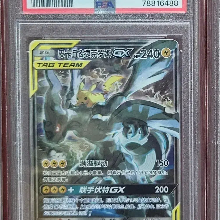 [BUNJANG] Pokemon TCG Chinese Edition Tag Team Pikachu &amp; Zekrom GX Special Illustration PSA 10 / 포켓몬카드 중판(cn) 태그팀 피카츄 제크로무 특일 psa10