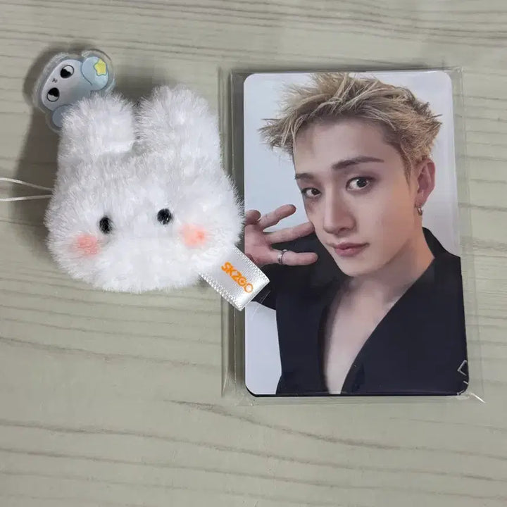 [BUNJANG] Stray Kids Run It Concert Mid-Concert Admission Gift Photocard Ribbit Skiz / 스트레이키즈 스키즈 콘서트 런잇 중콘 입장 기프트 포카 리빗 스키주 스트레이키즈 run it