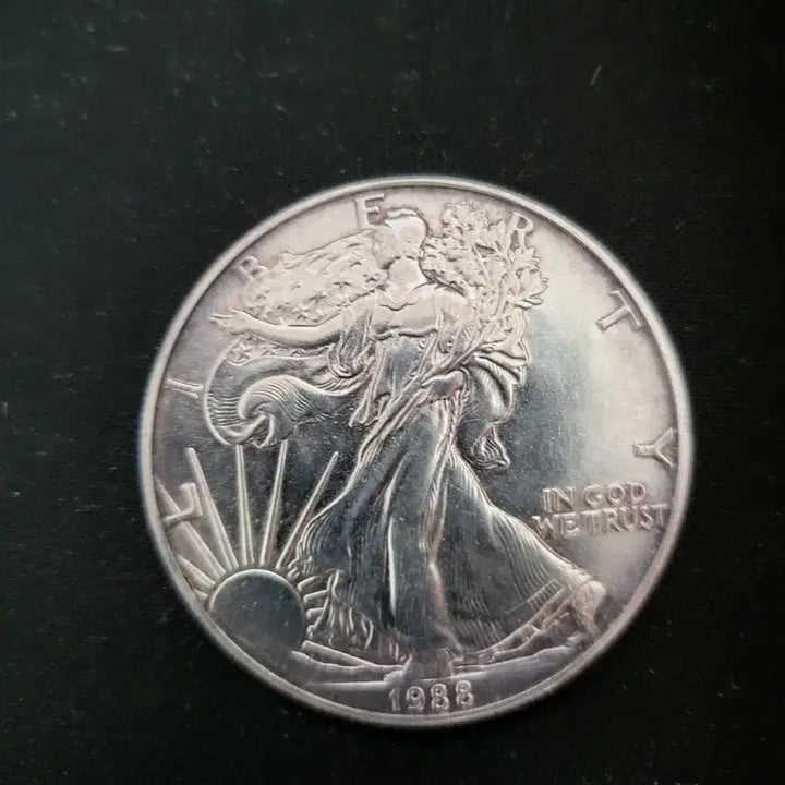 [BUNJANG] American Eagle Silver Dollar Coin / 미국 이글은화