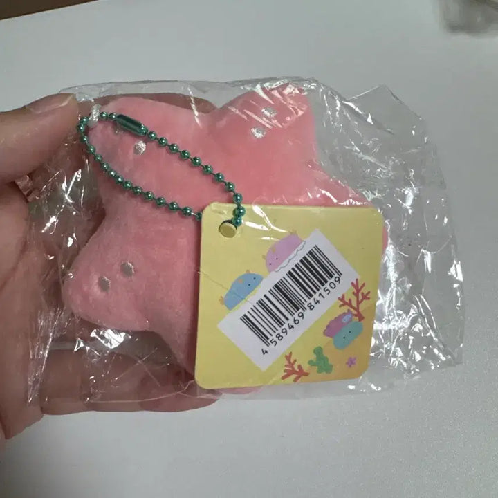 [BUNJANG] Kongnuni Starfish Keyring (Sealed) / 콩눈이 불가사리 키링 미개봉 새상품 판매중