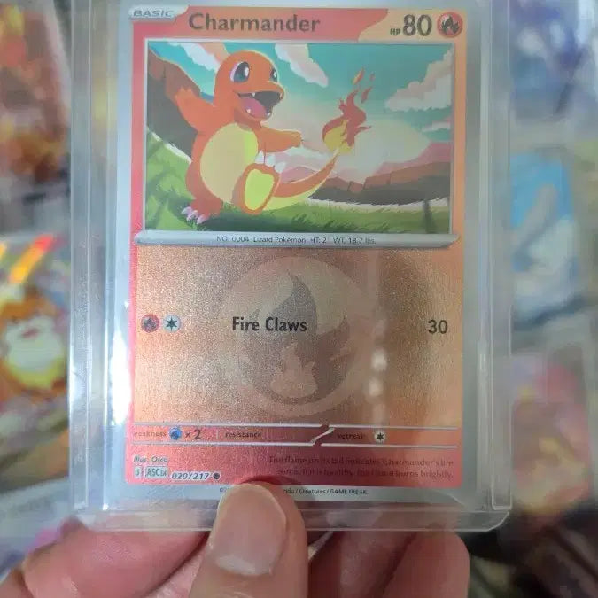 [BUNJANG] Charizard Fire Holo North American Edition Trading Card / 북미 파이리 파이어 홀로