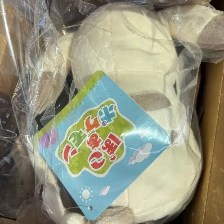[BUNJANG] Pokemon Pocotama Snow Pikachu Plush / 포켓몬스터 포코피아 창백카츄 인형