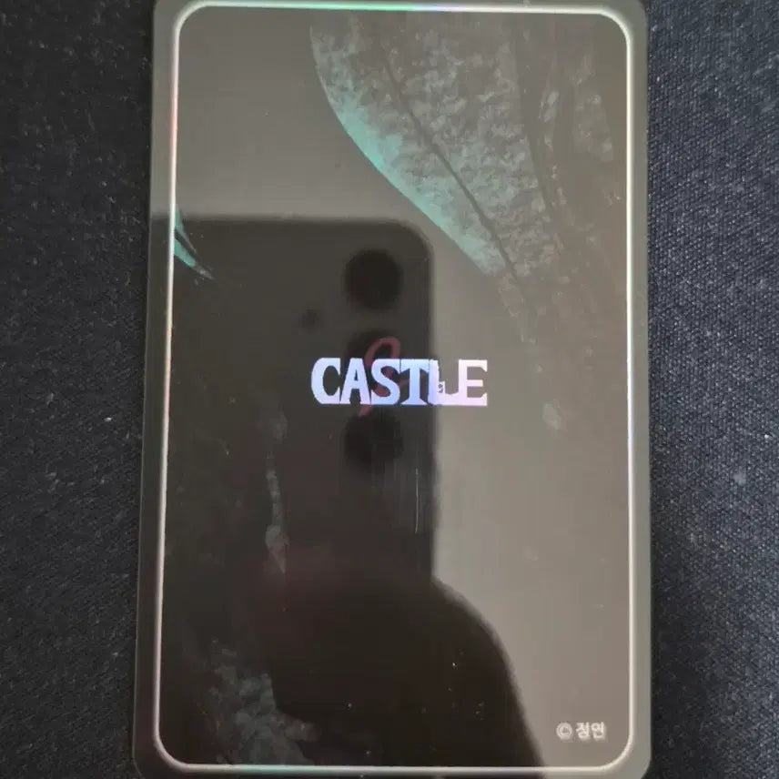[BUNJANG] Webtoon Castle Ryu Jihak Photocard / 웹툰 캐슬 류지학 포토카드