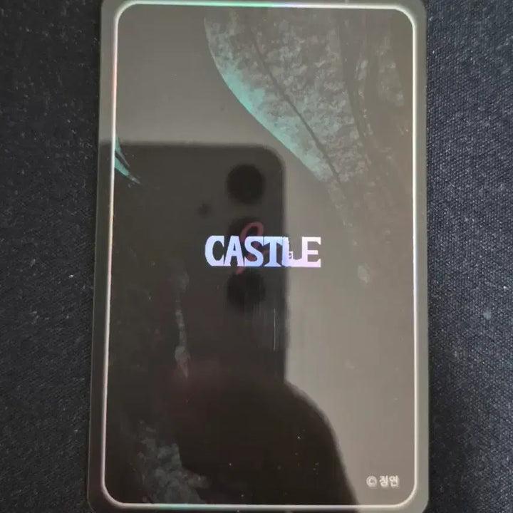 [BUNJANG] Webtoon Castle Ryu Jihak Photocard / 웹툰 캐슬 류지학 포토카드