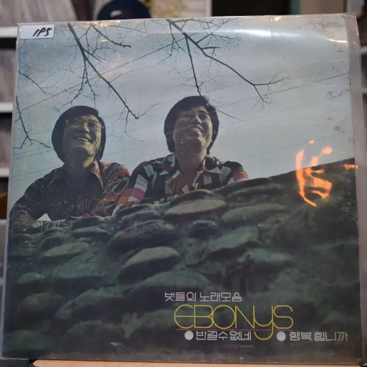 [BUNJANG] Eunice Mint Sealed LP / 에보니스 민트 : 반길수없네