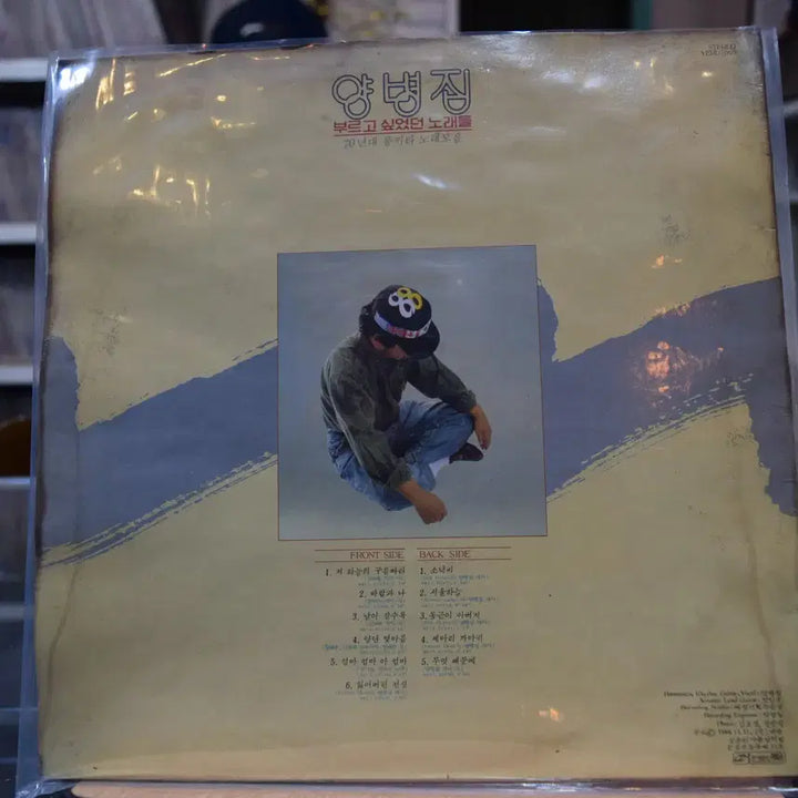 [BUNJANG] Yang Byung-jip "Wanted to Sing" (Near Mint) LP / 양병집 니어민트 : 부로고싶었던노래들