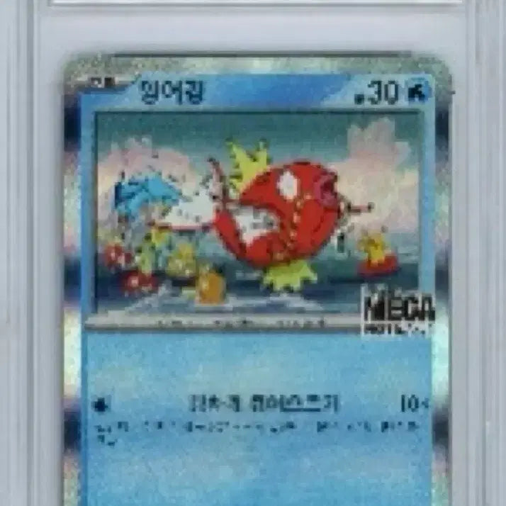 [BUNJANG] BRG 9 Magikarp Promo Card / [BRG 9] 잉어킹 프로모카드 팔아요