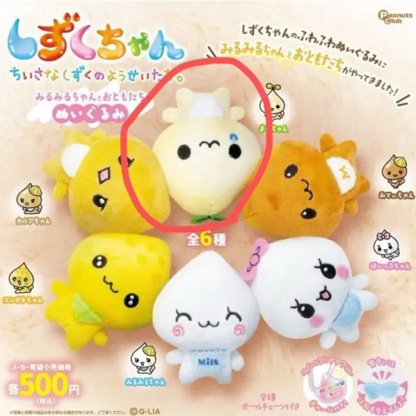 [BUNJANG] Mirumiruchan and Friends Shizukuchan and Friends Plush Doll Mamechan / 미루미루짱과 친구들 시즈쿠짱과 친구들 누이 마메짱