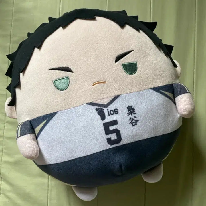 [BUNJANG] Haikyuu!! Akaashi Keiji Big Fuwa Plush / 아카아시 빅 후와