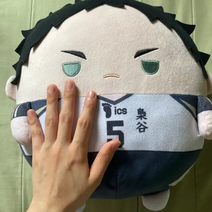 [BUNJANG] Haikyuu!! Akaashi Keiji Big Fuwa Plush / 아카아시 빅 후와