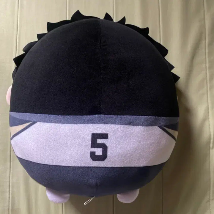 [BUNJANG] Haikyuu!! Akaashi Keiji Big Fuwa Plush / 아카아시 빅 후와