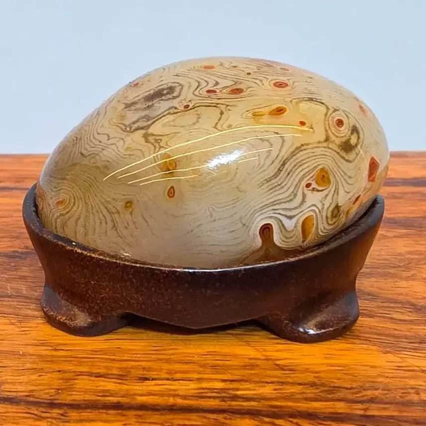 [BUNJANG] Vivid Finger Agate Mineral Scholar Stone / 26081908 좋은 기운을 내뿜는 영롱한 지문마노석 광물 수석 팝니다