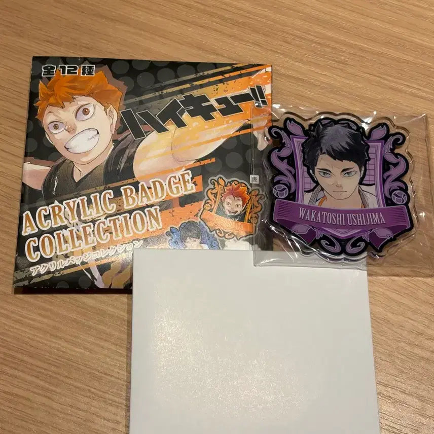 [BUNJANG] Haikyu!! Ushijima Wakatoshi Acrylic Badge / 하이큐 우시지마 아크릴 뱃지