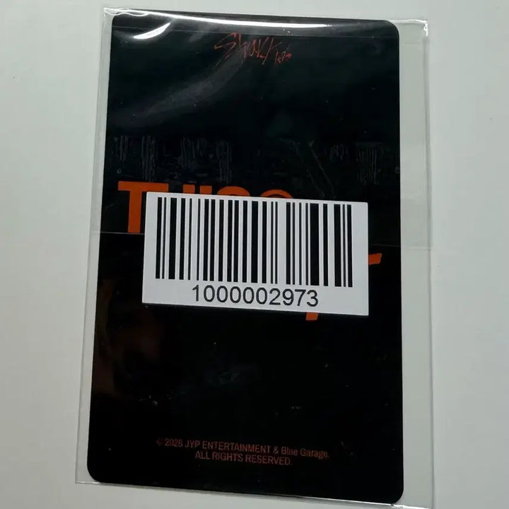 [BUNJANG] Stray Kids I.N THIS &amp; THAT Fanshop Ver. Photocard (Unsealed) / 스트레이 키즈 아이엔 디스앤댓 팬즈 특전 미개봉