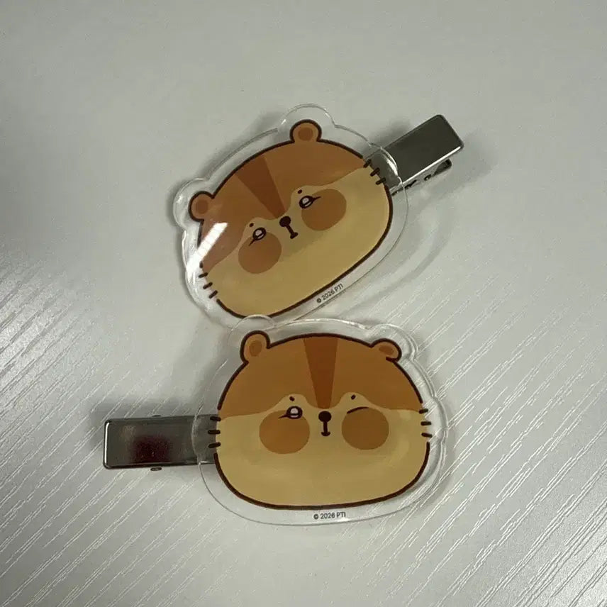[BUNJANG] Kim Junsu Ramsha Hair Clip Set / 김준수 람샤 헤어 클립 세트