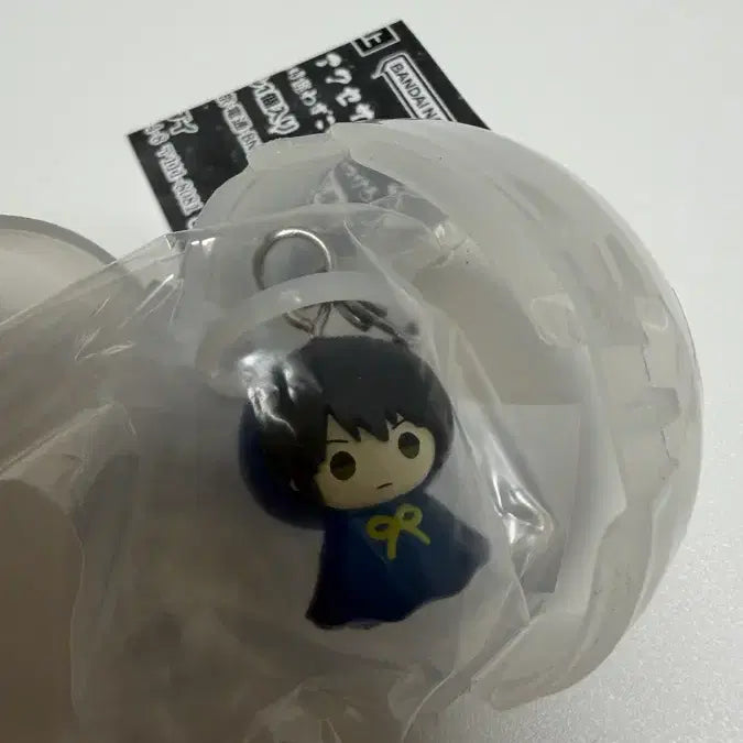 [BUNJANG] Gintama Katsura Zura Mezushi / 은혼 카츠라 즈라 메지루시 양도