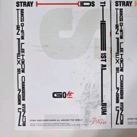 [BUNJANG] Stray Kids 1st Album GO生 (Limited Edition) / 스트레이키즈 1집 GO생 앨범 1st