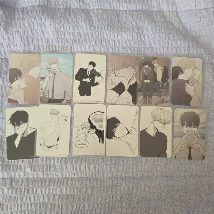 [BUNJANG] Checkmate MoFun 2023 Visit Photocard Full Set / 체크메이트 모펀 23년 방문포카 풀세트