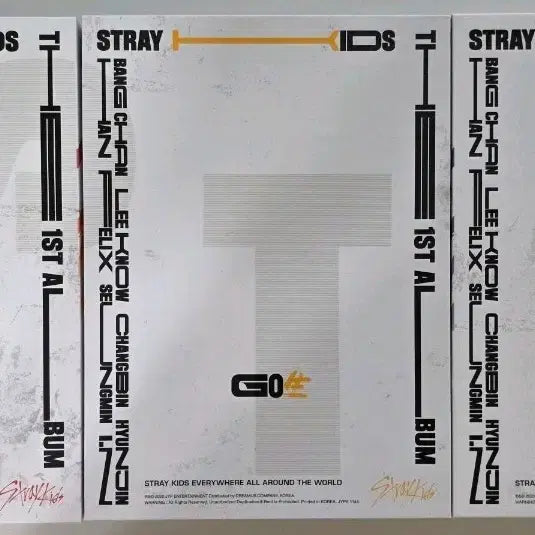 [BUNJANG] Stray Kids 1st Album GO LIVE GO Saeng / 스트레이키즈 1집 GO LIVE GO생 앨범