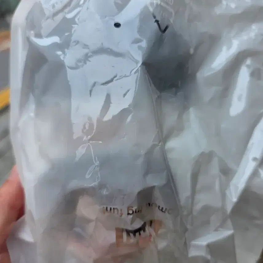 [BUNJANG] RIIZE POP MART Pouch (Rizko, Ddolbyeongi) / 라이즈 팝마트 파우치 원가이하양도합니다(리즈코,똘병이