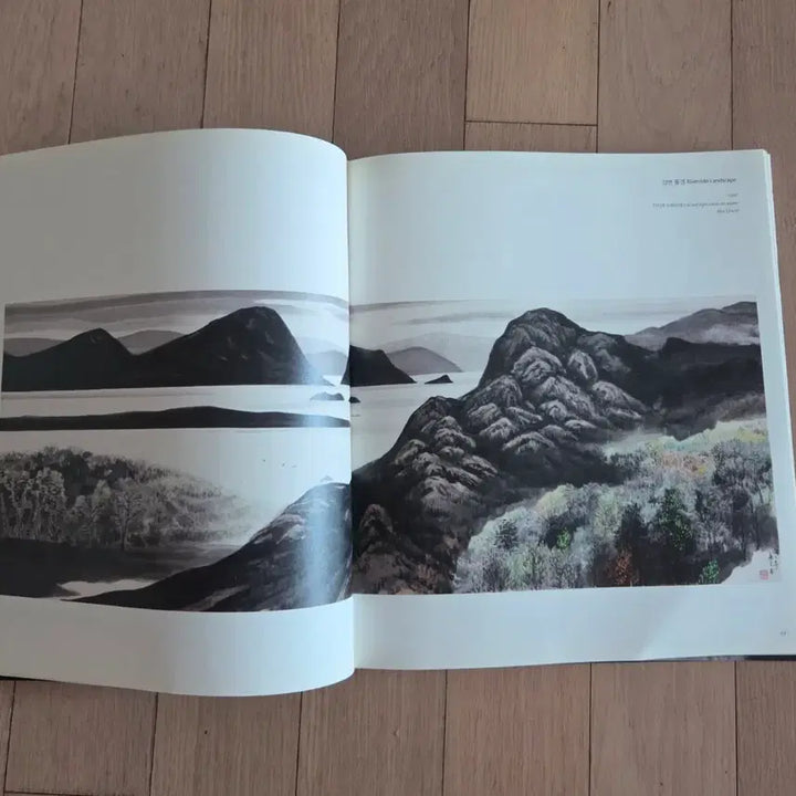 [BUNJANG] Song Soo-nam Sumi-in Art Book / 송수남 수묵인