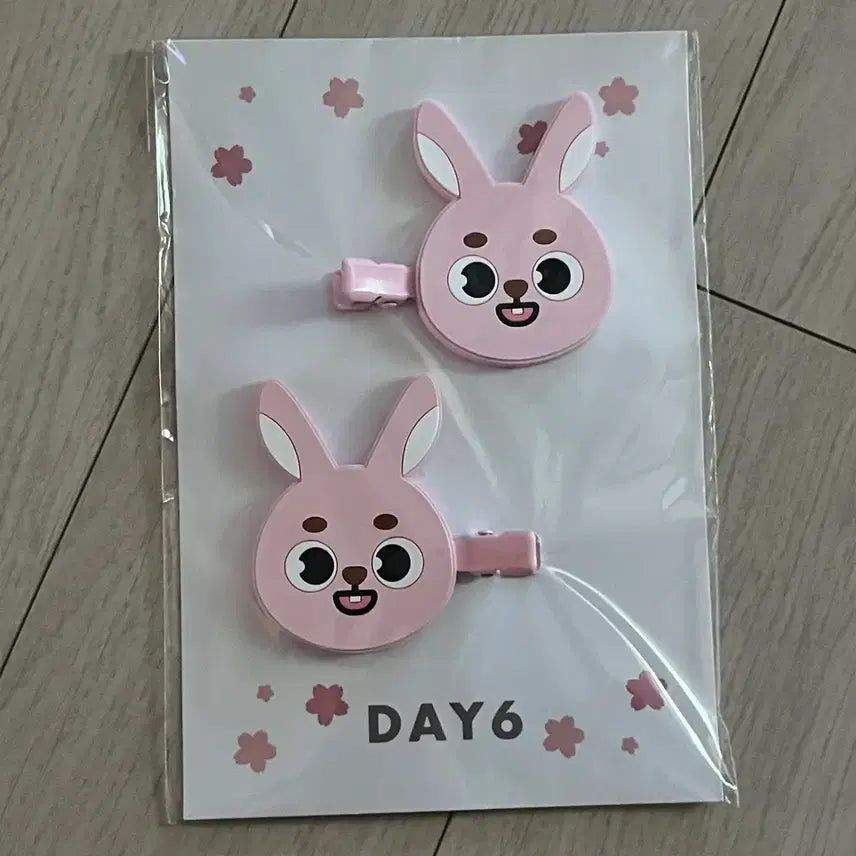 [BUNJANG] DAY6 Yokohama Hairpin Pil / 데이식스 요코하마 머리핀 필