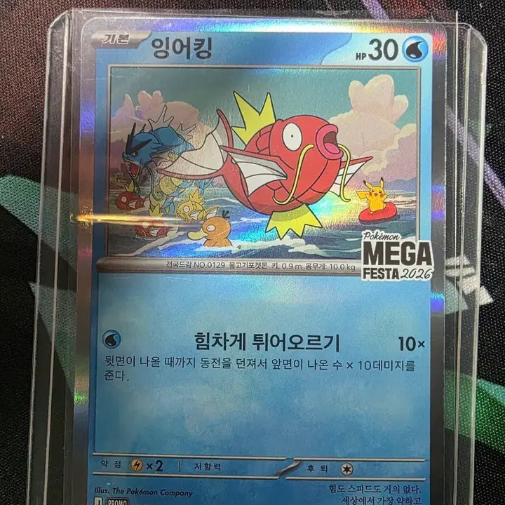 [BUNJANG] Pokemon Magikarp Mega Festa 2026 Promo Card / 포켓몬카드 잉어킹 메가페스타 2026 프로모