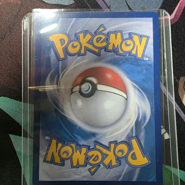 [BUNJANG] Pokemon Magikarp Mega Festa 2026 Promo Card / 포켓몬카드 잉어킹 메가페스타 2026 프로모