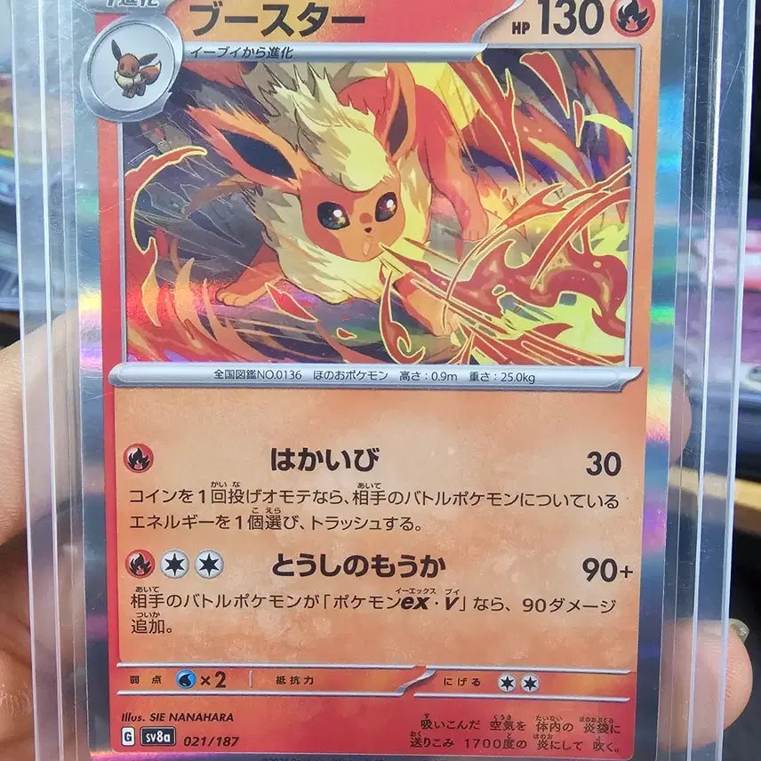 [BUNJANG] Pokemon Booster Pack Japanese / 일판 포켓몬 카드 부스터