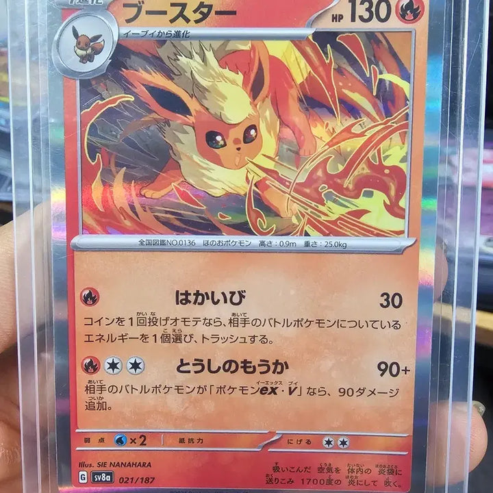 [BUNJANG] Pokemon Booster Pack Japanese / 일판 포켓몬 카드 부스터