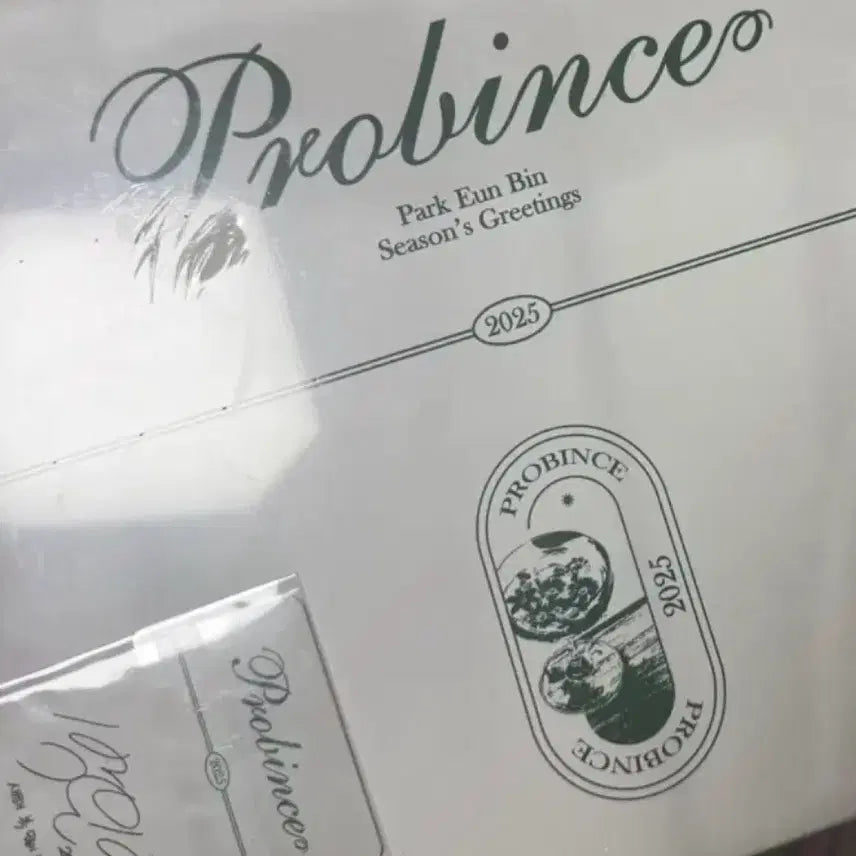 [BUNJANG] Park Eun Bin 2025 Province Sealed Photocard / 박은빈 25년도 프로빈스 미개봉