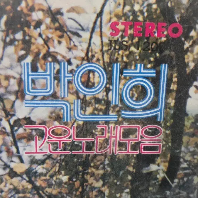 [BUNJANG] Park In Hee Spring Road LP / 박인희 가요LP  봄이오는길 상태좋아요