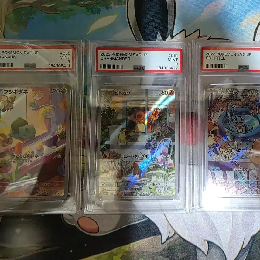 [BUNJANG] Pokemon 1st Gen Starters AR Promo PSA 9 Set / 일판 포켓몬 1세대 스타팅 ar 프로모 psa9세트 판매합니다