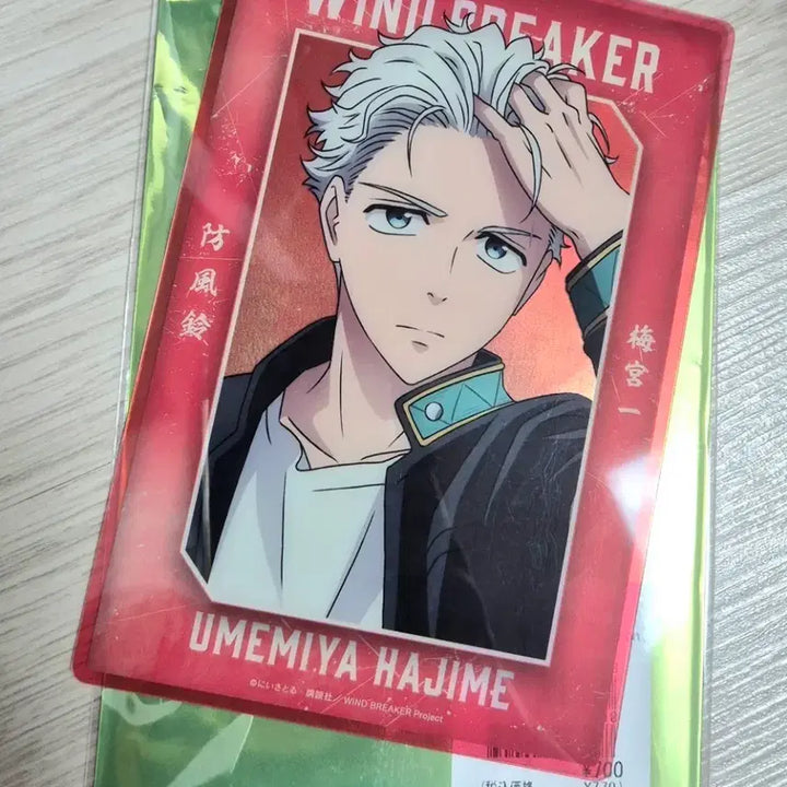 [BUNJANG] Winbre Umemiya Baseyard Art Card / 윈브레 우메미야 베이스야드 아트카드