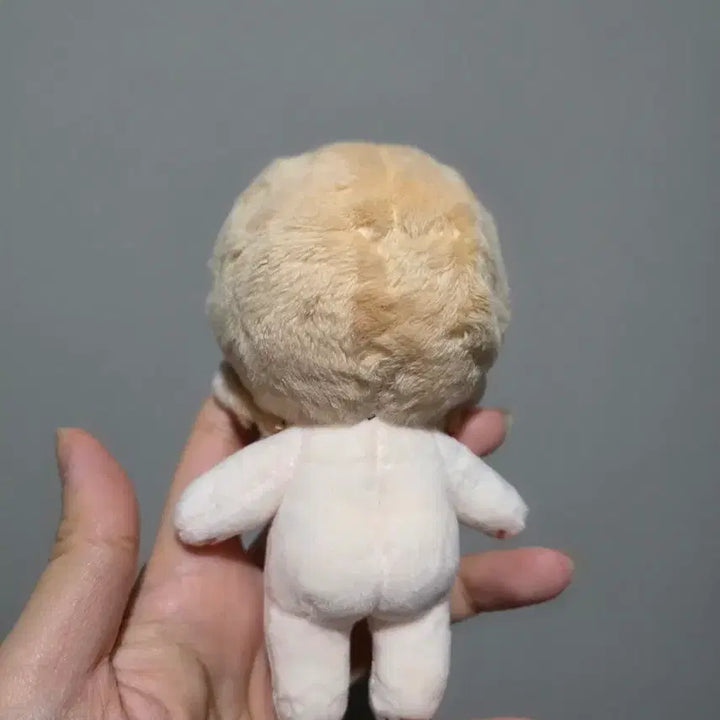 [BUNJANG] Noah 10cm Plush Doll (Blushed) / 노아인형,비공굿,10cm,볼터치,개봉