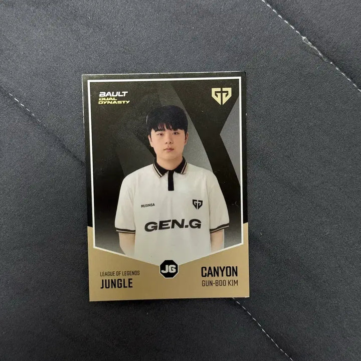 [BUNJANG] Volt Canyon Card / Bault 볼트 젠지 캐니언 카드