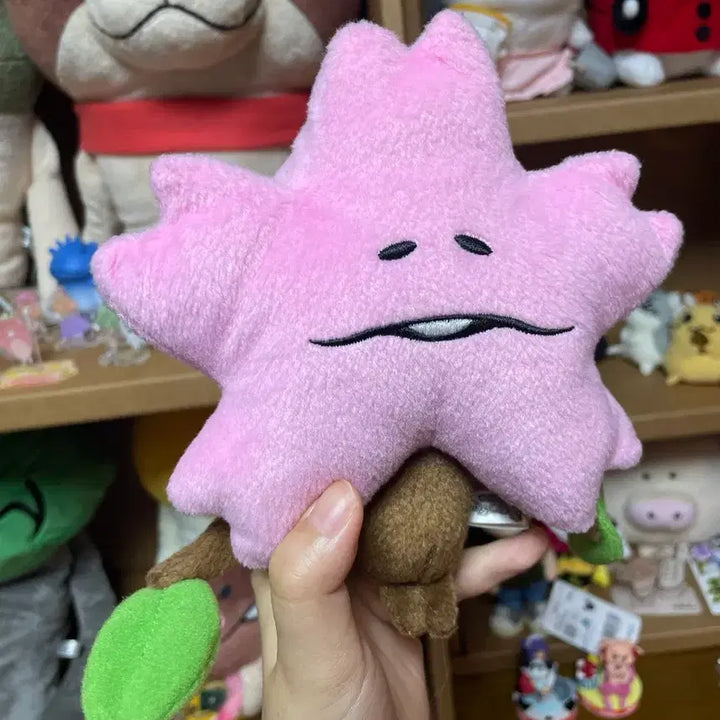 [BUNJANG] Sakura Cherry Blossom Nameko Medium Plush Doll (Japan Authentic) / 일본정품]사쿠라 벚꽃 나메코 중형인형
