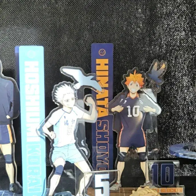 [BUNJANG] Haikyuu!! 10th Anniversary Exhibition Merchandise Bundle Set / 하이큐 10주년 기념전 굿즈