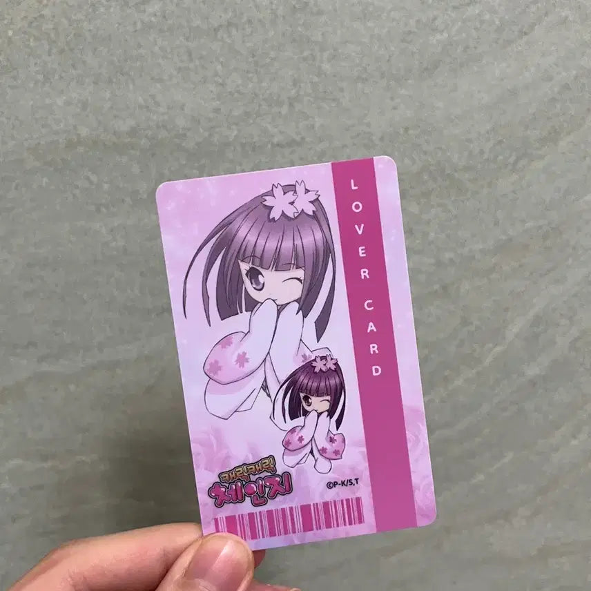 [BUNJANG] Cardcaptor Sakura Cerberus Rubber Card / 캐릭캐릭체인지 캐캐체 시아 러버카드