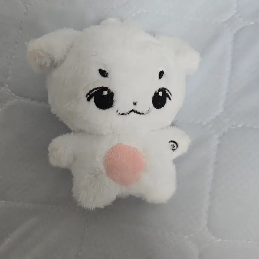 [BUNJANG] Lucy Shin Yechan Chanyzzu Doll / 루시 신예찬 차니쮸 인형