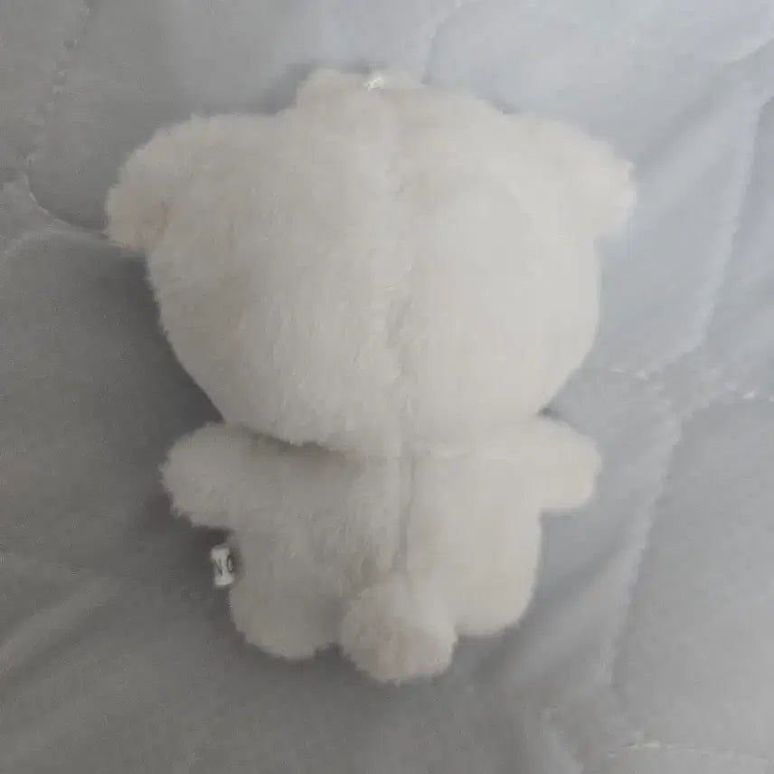 [BUNJANG] Lucy Shin Yechan Chanyzzu Doll / 루시 신예찬 차니쮸 인형