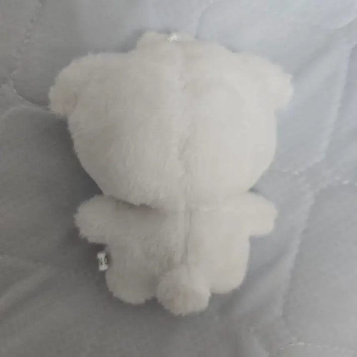[BUNJANG] Lucy Shin Yechan Chanyzzu Doll / 루시 신예찬 차니쮸 인형
