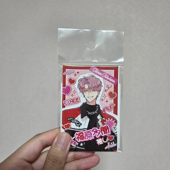 [BUNJANG] Tammon-kun Animate Deco Photo Style Card Bundle Set (5 Types, Sealed) / [전5종세트 미개봉] 타몬군 지금 어느쪽 애니메이트 데코포토풍카드 포카 포토카드 5종세트  미개봉 일괄판매합니다
