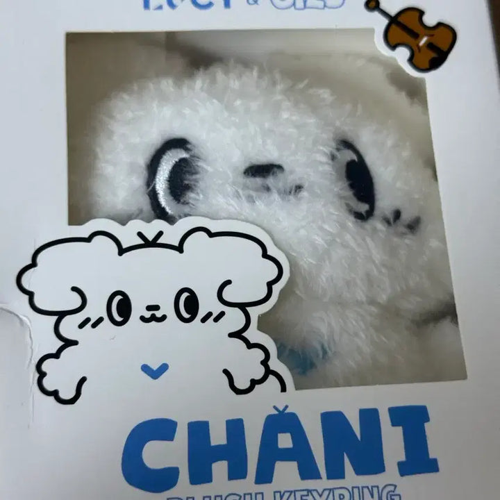[BUNJANG] Lucy Shin Yechan Doll Photocard / 루시 신예찬 예찬 시루 챠니 인형 포카 포함 공굿