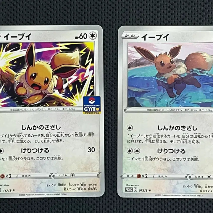 [BUNJANG] Pokemon Card Eevee Gym Promo Japanese / 포켓몬카드 이브이 짐 프로모 일판