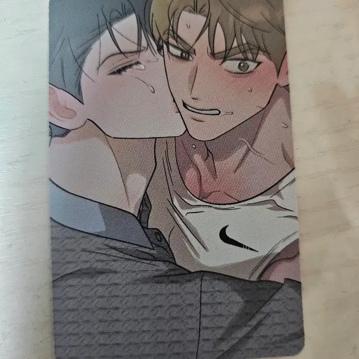 [BUNJANG] Hongsil Quest Random Photocard / 판매) 홍실퀘스트 랜덤 포토카드