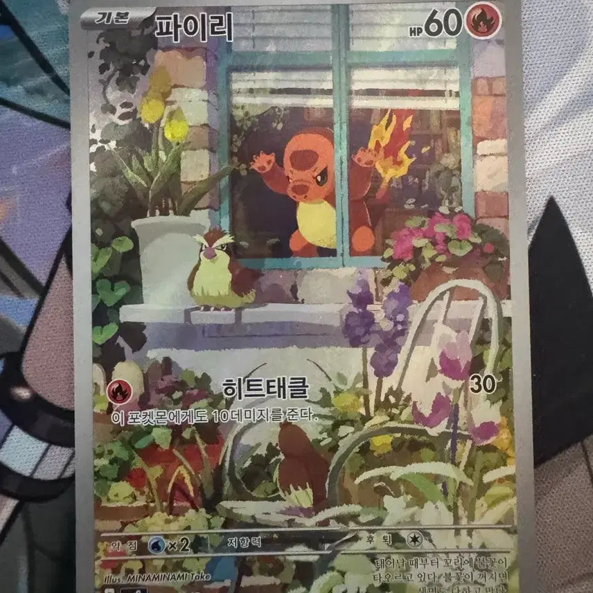 [BUNJANG] Pokemon Card Firey, Squirtle, Bulbasaur Special Cards / 포켓몬카드 창문파이리  ar 등 꼬부기,파이리,이상해씨 스페셜 카드