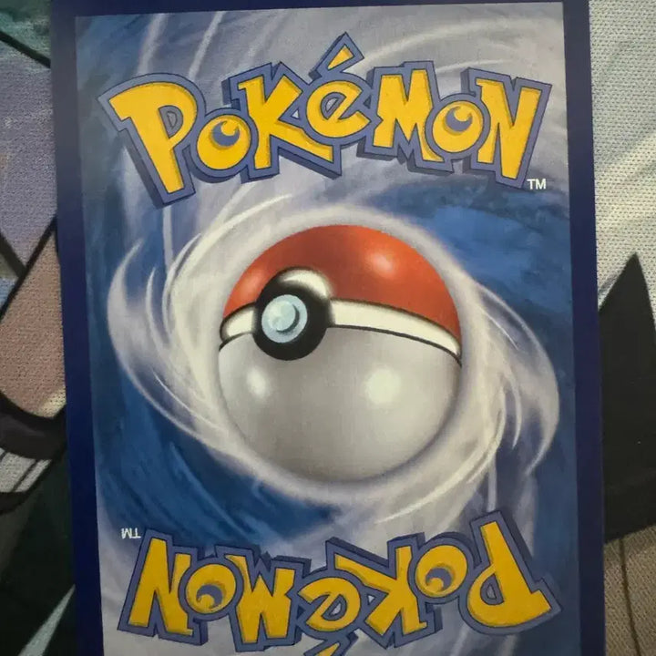 [BUNJANG] Pokemon Card Firey, Squirtle, Bulbasaur Special Cards / 포켓몬카드 창문파이리  ar 등 꼬부기,파이리,이상해씨 스페셜 카드