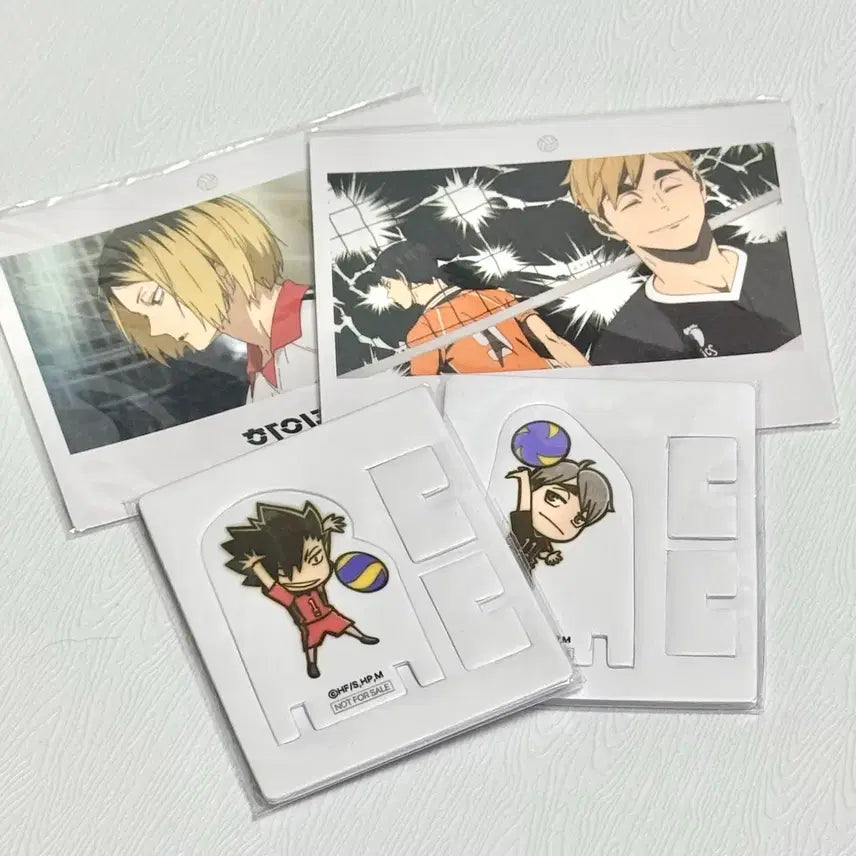 [BUNJANG] Haikyuu!! Pop-up Store Exclusive POB / 하이큐 팝업 특전